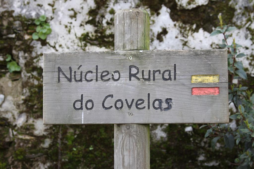 Alojamento Rural De Covelas Covelas  エクステリア 写真